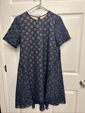 Donna Morgan Navy Blue Dot Mesh Midi Dress